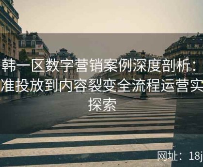日韩一区数字营销案例深度剖析：从精准投放到内容裂变全流程运营实践探索