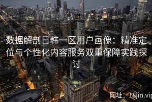 数据解剖日韩一区用户画像：精准定位与个性化内容服务双重保障实践探讨