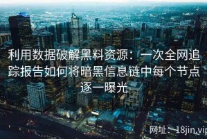 利用数据破解黑料资源：一次全网追踪报告如何将暗黑信息链中每个节点逐一曝光