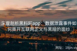 深度剖析黑料网app：数据泄露事件如何撕开互联网正义与黑暗的面纱