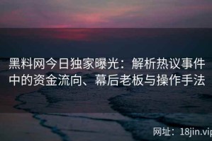 黑料网今日独家曝光：解析热议事件中的资金流向、幕后老板与操作手法