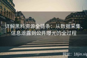 详解黑料资源全链条：从数据采集、信息泄露到公开曝光的全过程