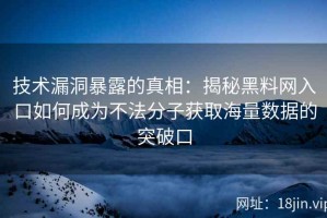 技术漏洞暴露的真相：揭秘黑料网入口如何成为不法分子获取海量数据的突破口