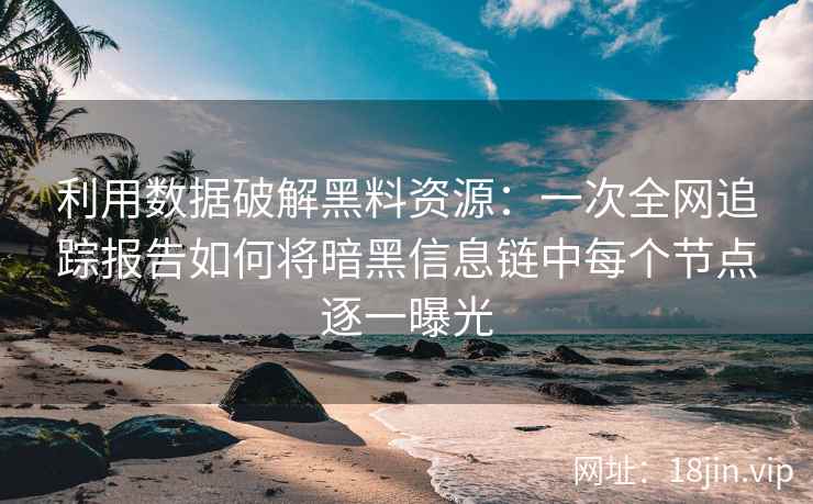 利用数据破解黑料资源：一次全网追踪报告如何将暗黑信息链中每个节点逐一曝光